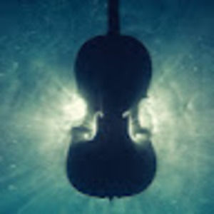 Meet your Posher, Talitha